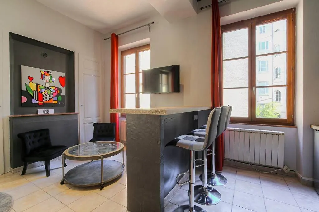 Apartmán Studio Charmant Idealement Situe, Ainay-Carnot Lyon Francie